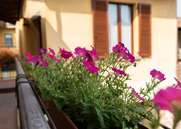 Pensjonat Maison Ancienne - Self Check-in 3*